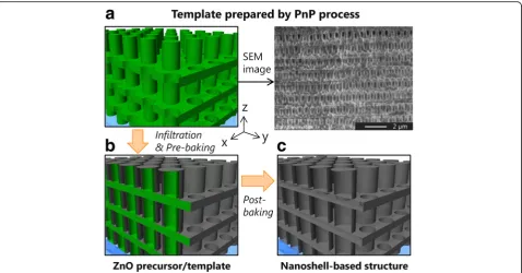 Fig. 1 Schematic diagram of the procedure using infiltration process with solution-derived ZnO for nanoshell-based 3D structures.of template by PnP process