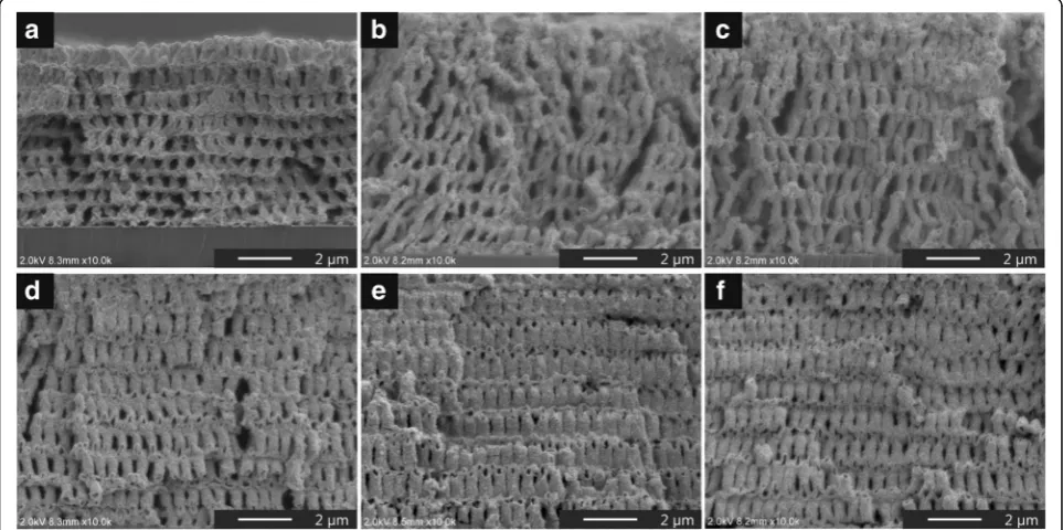 Fig. 2 Cross-sectional SEM images of the ZnO precursor/polymer 3D structures. The infiltration process was conducted with different cyclenumbers from one to six (a–f)