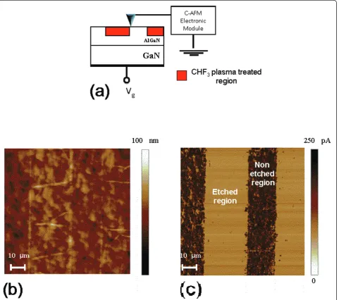 Figure 4 C-AFM scans. Schematic of the C-AFM measurement setup (a) used to measure conductivity changes in a sample locally treated withCHF3 plasma (on lithographically defined stripes) and annealed at 400°C