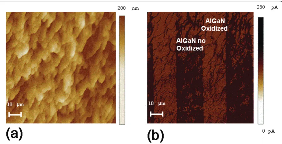 Figure 6 Nanoscale electrical properties of the thin oxide formed by the RTO process monitored by C-AFM