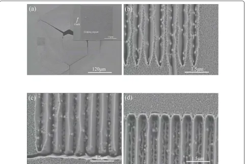 Figure 3 Fracture related problems and epitaxial structuresin view of grating region;