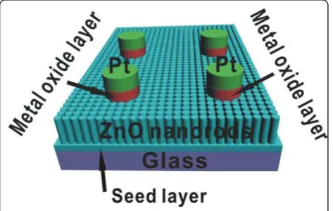 Figure 1 A schematic diagram of PD