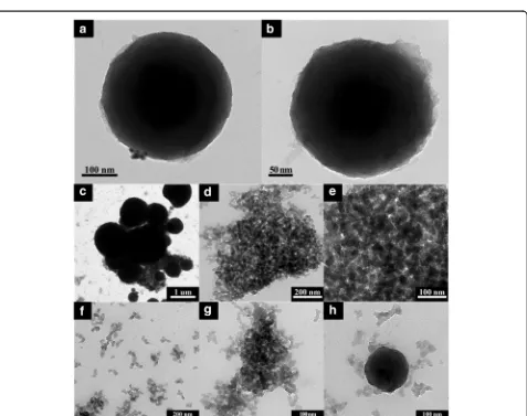 Fig. 6 SEM-EDX mapping results of cellulose-amino POSS hybrid composite by PVA/THPC process