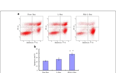 Fig. 3 Fluorescent microscopic images of (a) Free Dox, (b) L-Dox, (c) PGA-L-Dox. Red fluorescent signals are related to Dox and blue onescorrespond to DAPI