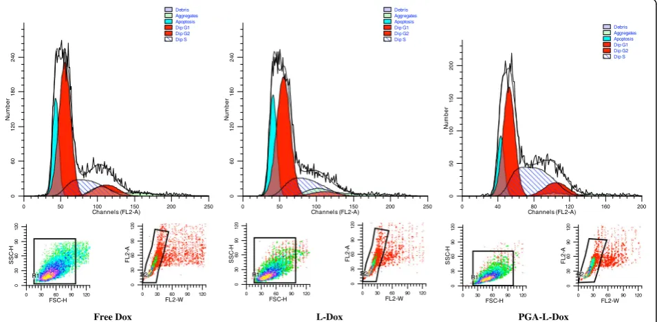 Fig. 5 The cell cycle analysis of HepG2 cells via Flow cytometry after 48 h treatment with free Dox, L-Dox, and PGA-L-Dox (containing Doxconcentrations of 10 μg/ml)