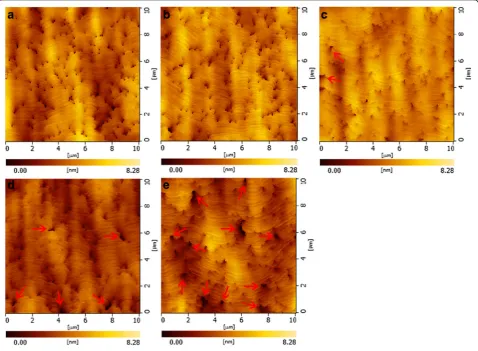 Fig. 2 The AFM images (10 × 10 μm) of five samples: a S1, b S2, c S3, d S4, and e S5