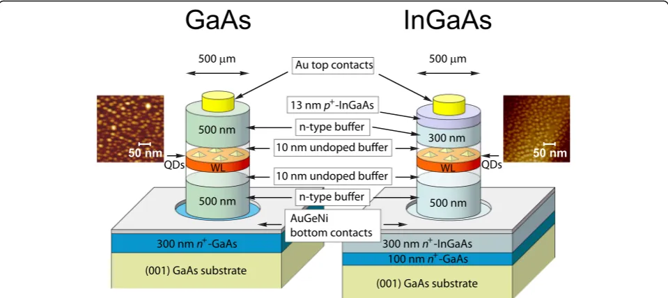 Fig. 1 (Color online) Schematics of the metamorphic InAs/In0.15Ga0.85As/si-GaAs and InAs/GaAs/si-GaAs QD samples investigated: layer thickness,composition, and doping are indicated; AFM images of the uncapped structures are shown as well