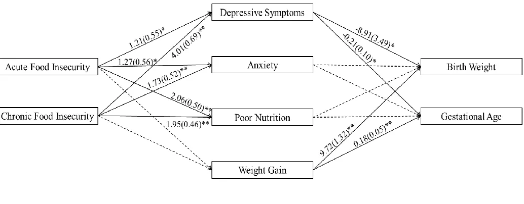 Figure 1. Path model of relationship between food insecurity and birth weight and gestational age 