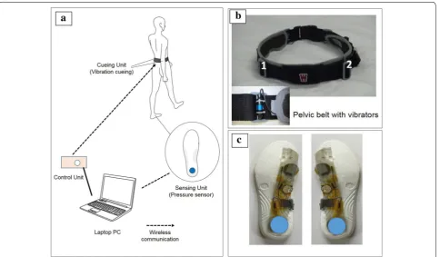 Fig. 2 Hardware of the vibratory cadence cueing system. The system shown in a consists of a belt with two left and right vibrators, a controller, PC and insole