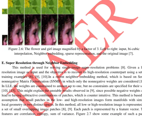 Figure 2.6: The flower and girl image magnified by a factor of 3. Left to right: input, bi-cubic  interpolation, Neighbor embedding, sparse representation, and the original image [7]