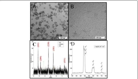 Figure 6 TEMs of NaGdF4:Yb, Ho nanocrystals. (A) Five times standard concentration; (B) 25% standard concentration; (C) XRD pattern ofNaGdF4:Yb, Ho nanocrystals; (D) Upconversion spectrum of NaGdF4:Yb, Ho nanocrystals under excitation of 980 nm.