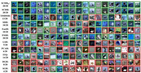 Figure 5: The three randomly selected queries for our image retrieval case study. Their top-20 search results on Caltech256 areshown in Figs