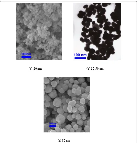 Figure 2 SEM/TEM images of the silver nanoparticles provided by Nanostructured and Amorphous Materials, Inc