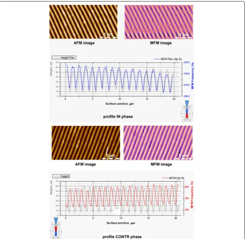 Fig. 11 AFM image of grating surface relief and MFM image of magnetic relief for different directions of tip magnetization and also surface reliefand magnetic relief profiles