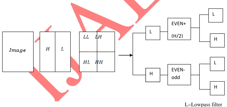 Fig 1a &1b:Image transformation domain bands & Image resolution band transformation 
