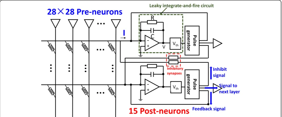 Fig. 4 A binary STDP protocol.and LTD are determined by pre type and delta a Waveforms used in this protocol