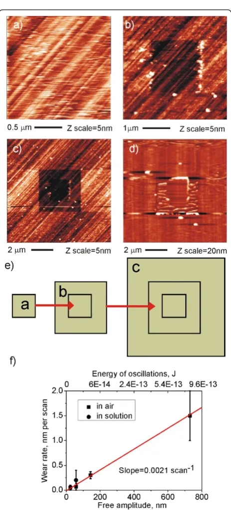 Figure 1c shows TM scan of FBS layer on O-termi-