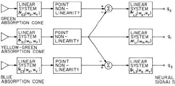 Figure 2Fundamentals of digital image processing system 