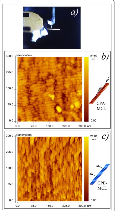 Figure 3 Surface nano morphology of two simultaneously Coof a Co-coated MCL mounted in the STM sample holder for surfaceimaging.PA-MCL demonstrating the generation of the transverse nano-strings for the off-normal PLD