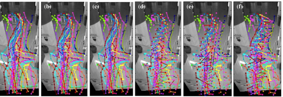 Fig. 5  Multi-object association results of different methods on 360 example frames in the Sparse-1 sequence: a dual L normalized con-
