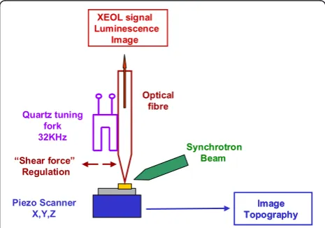 Figure 1 Principle of the home-built instrument. The instrumentcombines shear-force microscopy and XEOL spectroscopy.