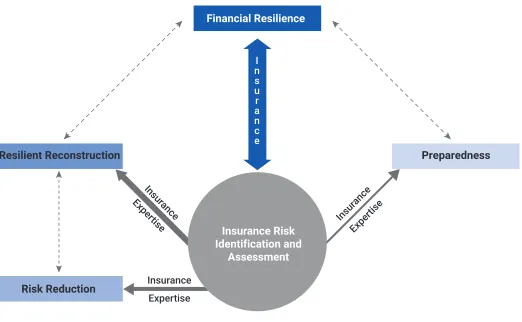 FIGURE 3Insurance resilience framework (adapted from the World Bank 5 pillars framework)Financial Resilience