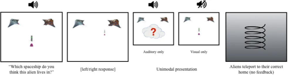 Figure 4. Test trials schematics in Experiment 2. 