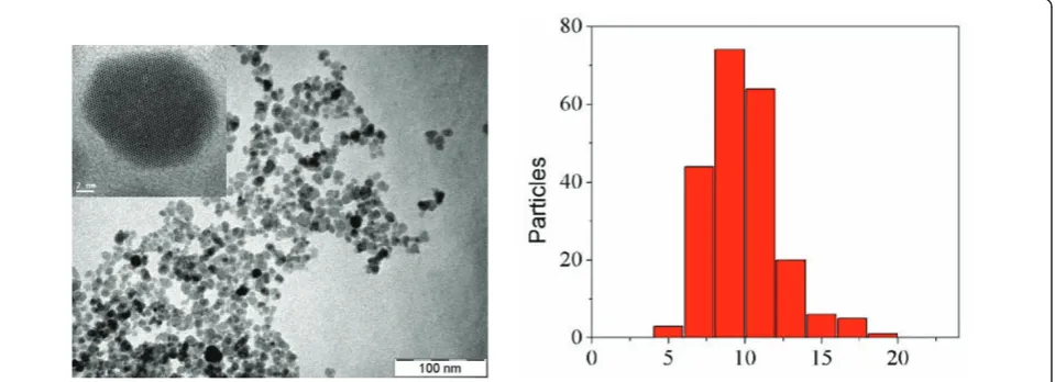 Figure 1 (Left) TEM image of Fecorresponding to the Fe3O4@PAA NPs. Inset shows a brilliant field HR-STEM image of a single Fe3O4@PAA particle