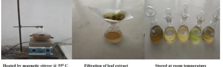 Figure 1. Plant extract preparation 