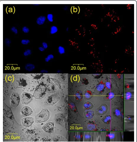 Figure 4 Changes in the surviving fractions of the TiOHeLa cells with histidine2-treated