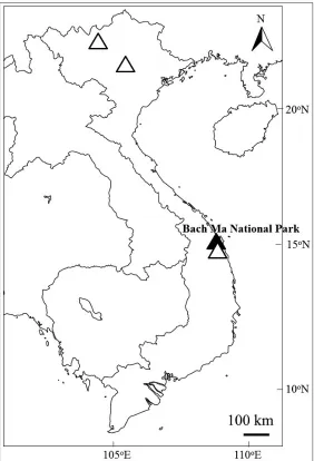 Figure 3. Distribution of Callicarpa bachmaensis Soejima & Tagane. Black triangle: type locality in Bach Ma National Park; white triangle: other collection sites in Vietnam.