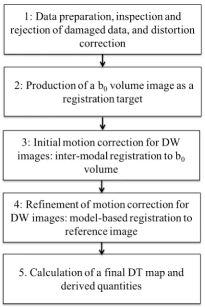 Fig. 1  Pipeline of procedures for calculation of fetal diffusion tensor