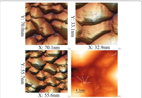 Figure 11 STM topographs of Ge hut cluster dense arrays at different coverages (patches, andpA,Tgr = 360°C): (a, b) hGe = 14 Å [(a) Us = +1.75 V, It = 80 (b) Us = +3.0 V, It = 100 pA]; (c, d) hGe = 15 Å [(c) Us = +2.0 V, It = 120 pA, (d) 20.3 × 20.4 nm, Us = +3.6 V, It = 120 pA]; w indicates the WL i shows a distorted small Ge island 3 ML high over WL.