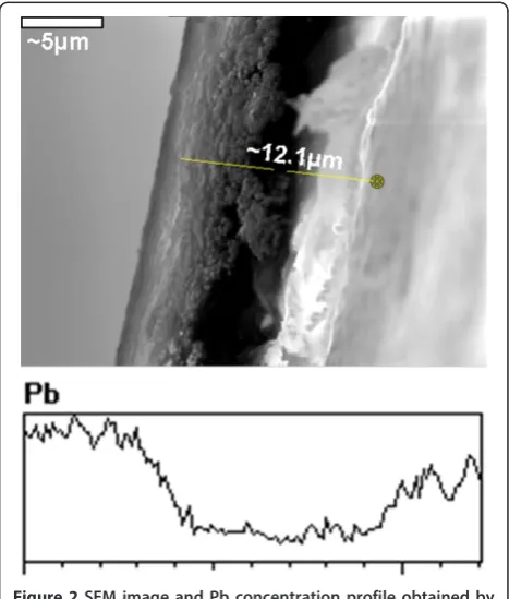 Figure 2 SEM image and Pb concentration profile obtained byEDS of cross section of PbS-PSMNPs-SPEEK nanocompositemembrane.