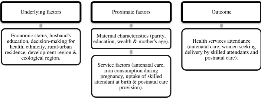 Figure 3: Conceptual framework to evaluate GTN Programme 
