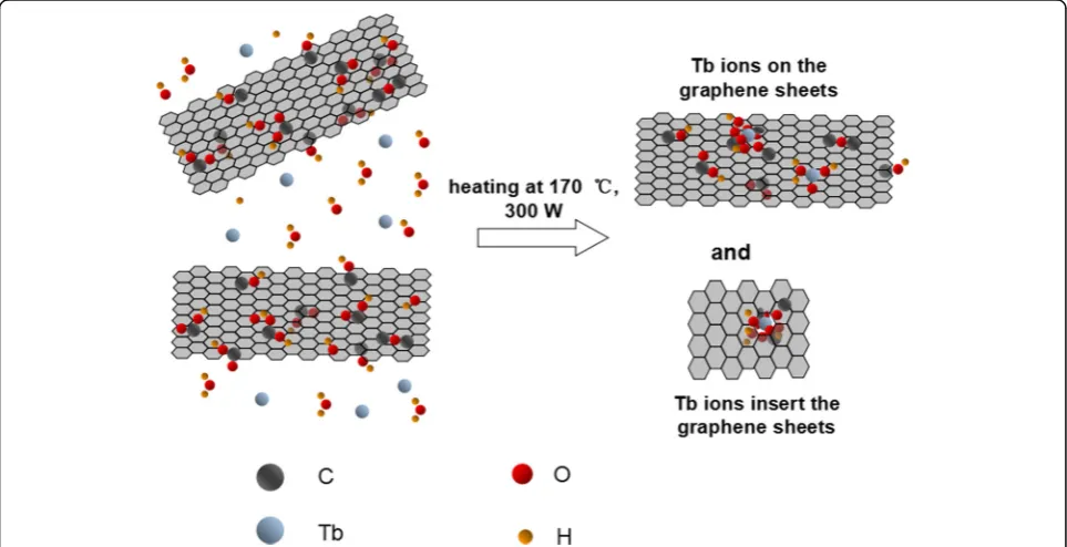 Fig. 1 The proposal synthesis procedure of the graphene oxide modified with terbium ions