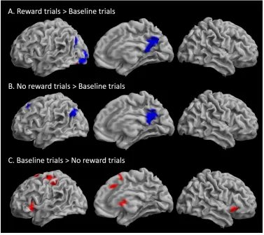 Figure 5: Differences in transient activation in reward and no reward trials compared to baseline trials