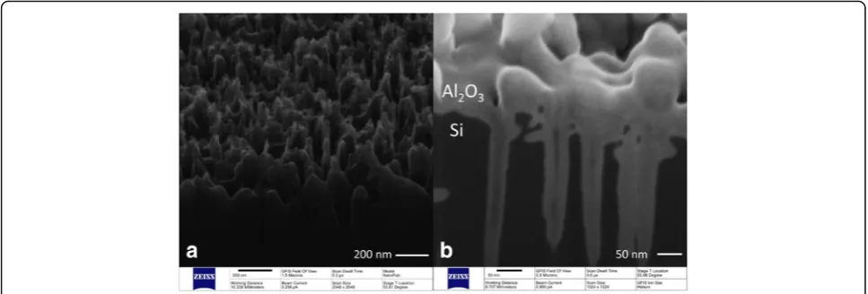 Fig. 3 The cross-sectional SEM picture of b-Si.H a Samples etched by HF/H2O2 mixed solution without Al2O3 coating
