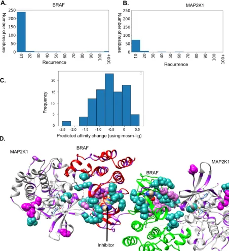 Fig 4. Mutations in BRAF. A. Frequency distribution in cancer samples in COSMIC for BRAF