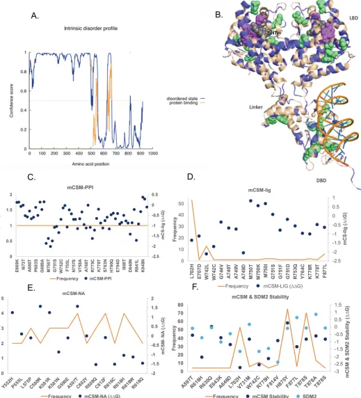 Fig 5. Mutations in androgen receptor. A. The intrinsically disordered region of the androgen receptor (predicted using PSIPRED)