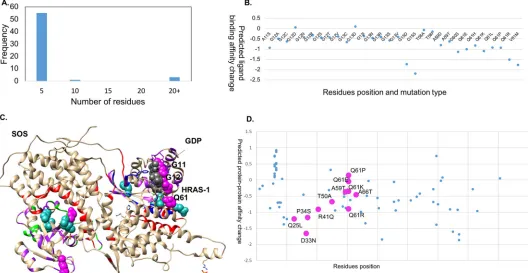Fig 2. Mutations in HRAS-1. A. Frequency distribution in cancer samples in COSMIC. C. Mutations mapped on to the hetero-complex of HRAS-1 with Son ofSevenless