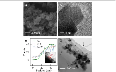 Fig. 4 a The Co3O4/SGP nanoparticles grown in NH3 solutions were agglomerations of 2D nanoplatelets
