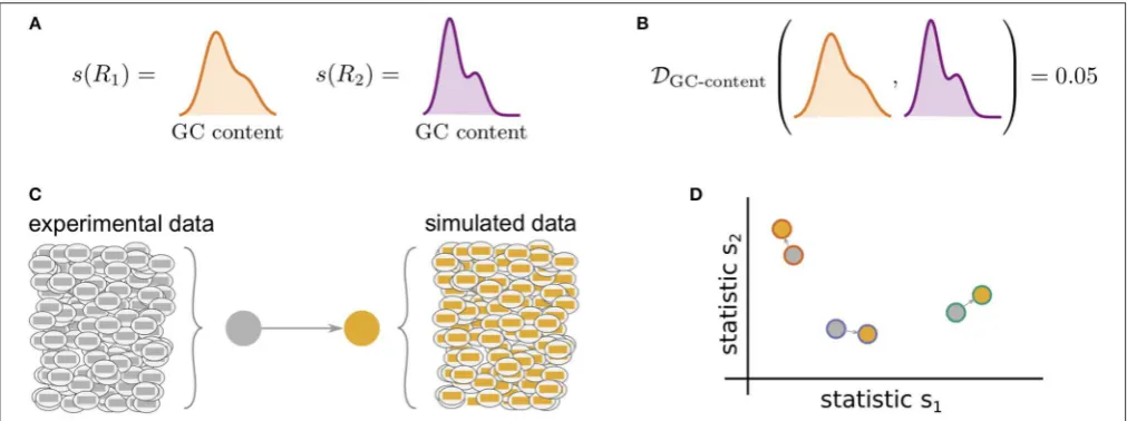 FIGURE 1 | Cartoon of our summary statistic and divergence framework, and how this can be applied to validation of repertoire simulators