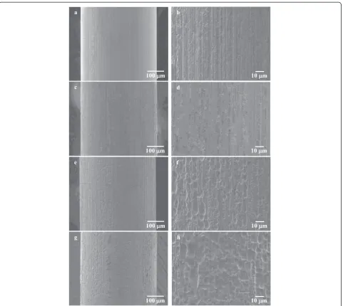 Fig. 5 SEM micrographs of typical side surfaces of a non-immersed specimen A and b magnified view of a, c specimen A immersed in 0.2 % APFsolution for 2 h and d magnified view of c, e specimen A immersed in 0.2 % APF solution for 4 h and f magnified view of e, and g specimen Aimmersed in 0.2 % APF solution for 6 h and h magnified view of g