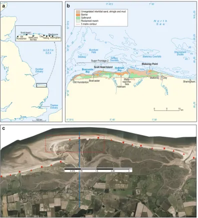 Fig. 1 Site Map, Scolt Head Island, North Norfolk Coast. (a) General setting of the North Norfolk Coast