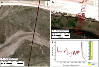 Fig. 4 Validation of the vegetation-based shoreline proxy using a coastal topography survey