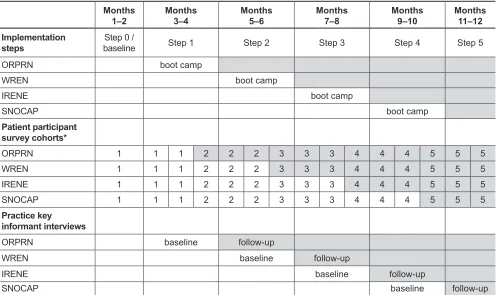 Table 2.  Study Timeline