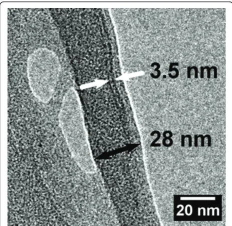 Figure 2 Microfibril of Pinus radiata. Image acquired with TEM.The black arrow indicates the boundaries of a microfibril, which isapproximately 28 nm in diameter