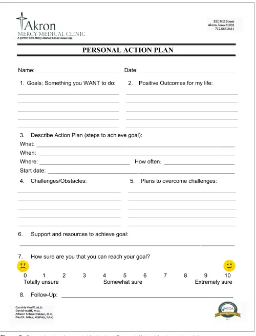 Figure 3.   Personal action plan created by the Iowa Research Network boot camp translation group