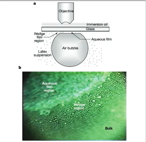 Figure 8 Ordered layering of nanoparticles in the confined wedge of the evaporating meniscus